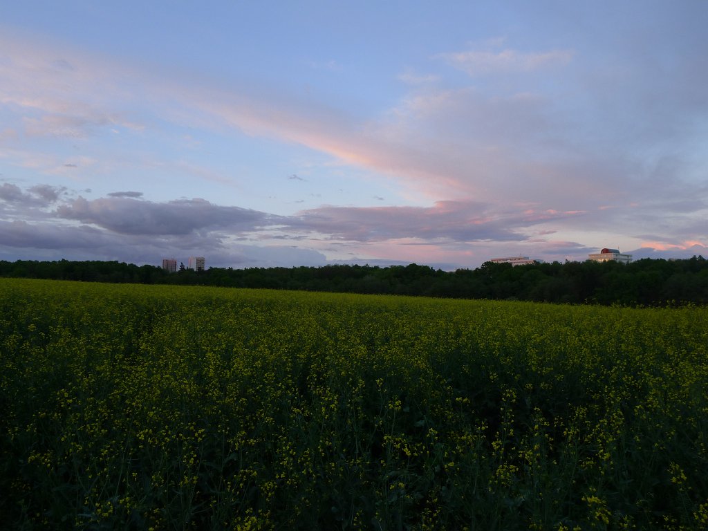 PavlaCzechVisit 113